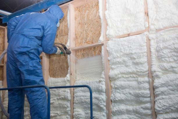 Best Basement Insulation  in Milton, WI